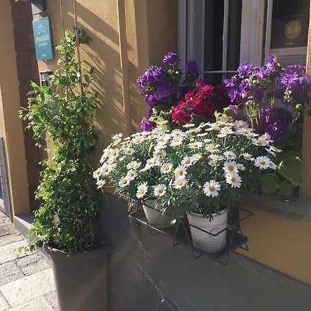 B&B Annabella-3